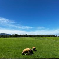 ãšãã®ãã (@toranosuke_myhe) 's Twitter Profile Photo ãšãã®ãã (@toranosuke_myhe) 's Twitter Profile Photo