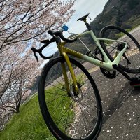 C-Schatze(NoriT) (@schatze7201) 's Twitter Profile Photo