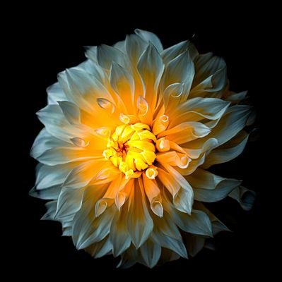 UmeshTi38347336's profile picture. Om tat sat