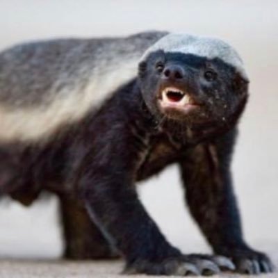 CollinWanger1's profile picture. 