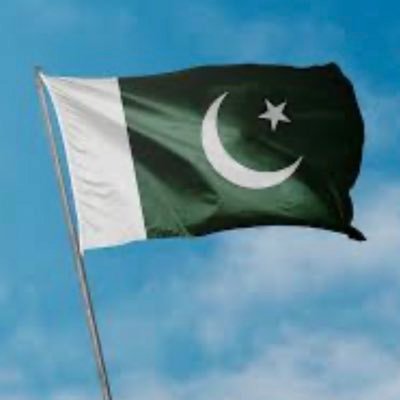 Pakistan_Reborn's profile picture. Entrepreneur|Sports Enthusiast|Fighting war of words for Haqiqi Azadi