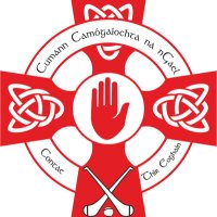 Tyrone Camogie(@Tyrone_Camogie) 's Twitter Profile Photo