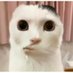 Mr (@litangcgunashuo) Twitter profile photo Mr (@litangcgunashuo) Twitter profile photo