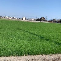 新米農機具屋さん (@noukiguyasan) Twitter profile photo