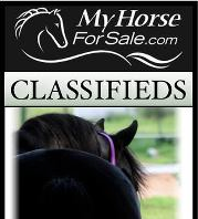 All Breeds, All Disciplines, Easy To Use Equine Classifieds. http://t.co/8qOYdvRU48 classifieds - BUY - SELL- PROMOTE YOUR HORSES.