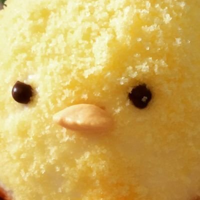 誤字KING🐣宙とひよこ🐣さんのプロフィール画像