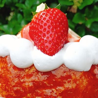 kandaiokan's profile picture. 関大3年生の田舎のおかん