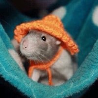 Stickystickysticky (@stickycrypto) 's Twitter Profile