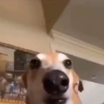 JavaErrorz's profile picture. 