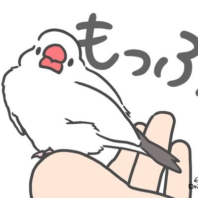 シナモンパイド文鳥♂のつぶ2023/8/9🌈
大切な思い出と共に過ごしてます🍀
シルバー文鳥２羽を2023/12/10お迎えしました𓅫
可愛い子達に♥させて下さい🙏
記念すべき文鳥の日は息子の誕生日🎂
海水魚𓆡ﾒﾀﾞｶ𓆝亀𓆉もいます𖤣𖥧𖥣
宜しくお願い致します𖤣𖥧𖥣