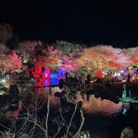 TT (@tsym2fp) 's Twitter Profile Photo