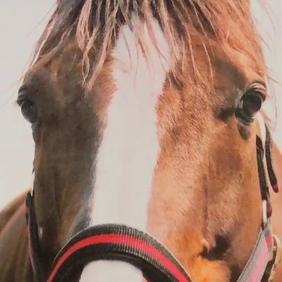 船橋、鎌ヶ谷辺りのラーメン、スイーツ、キッチンカー等を載せていきます。 無言フォロー失礼します。 鎌ヶ谷、船橋辺りの方やグルメツ関係の方フォローして頂けたら嬉しいです。 グルメ、地元関連は100%フォロバします。 ポケモンGO、競馬、一口馬主。 競馬垢@suzujyapan1 ポケgo垢 @suzujyapon