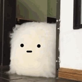 SakanaKawaさんのプロフィール画像