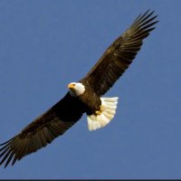 Free Your Mind π (@truthsetufree4) 's Twitter Profile