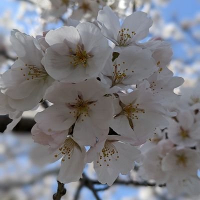 あ