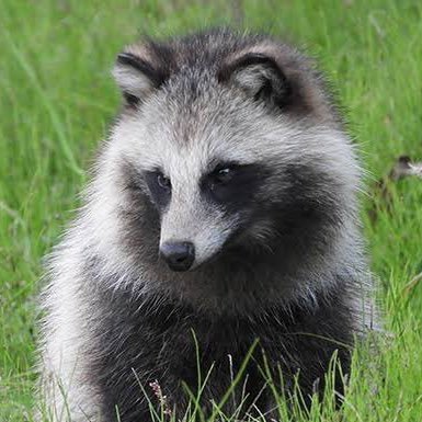 reiya_hisahara's profile picture. ハロー！プロジェクトをこよなく愛す社会人男性😄ゆかにゃは女神で生涯一推し・さくらち無敵・桃羽見守る・らいりーおもろい・まおぴん俊足・にしとまえこことうーたん応援中。るりるり良き良き。姫杷頑張れ。基本ダンスメンを推す傾向。Wサキは殿堂入り。たまにイベントレポ呟いてます。next現場：