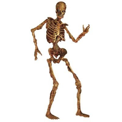 skeleton mcjim baby