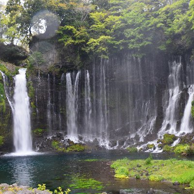 旅行・写真・美食・鉄道・城郭・野鳥大好き！雄大な自然や歴史遺産、地域性あふれる食・植物・野鳥を求めて旅行＆撮影をしています。基本フォロバします。つながって楽しみましょう！