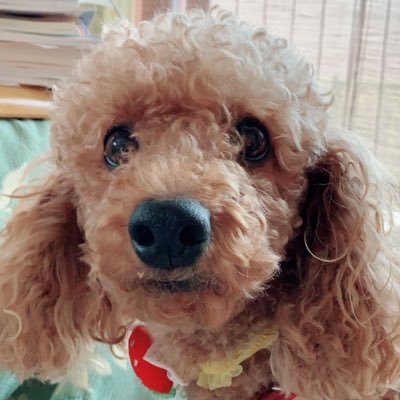 noel_3213's profile picture. 琉球大学工学部機械工学コース4年次