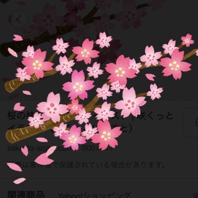 BErJKHTSSTPB4Er's profile picture. 