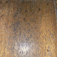 Steve (@ninerman12) 's Twitter Profile