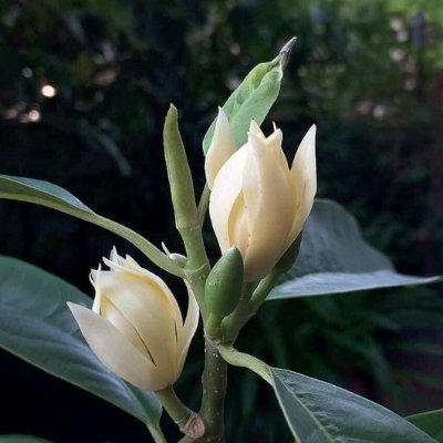 TK1795938311's profile picture. 