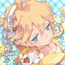 Daily Kagamines! ミ☆さんのプロフィール画像