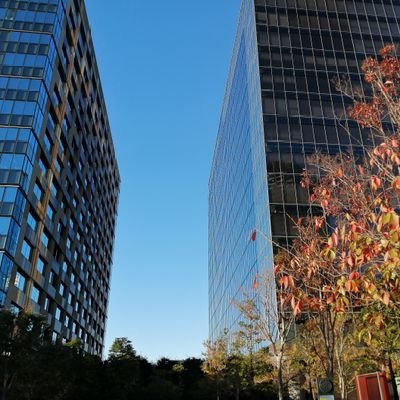 システム界隈の情報を投稿します。資格取得を暫く頑張る
TOEIC 900点/G検定 保持
FP / 簿記 / 基本情報 勉強中
ITストラテジスト / 応用情報 そのうち。