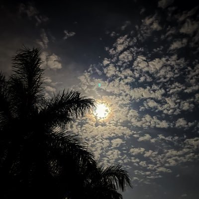 CoffeeIsMyKreb's profile picture. Always curious, mostly calm