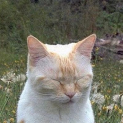 Vaun00's profile picture. where are all the hot people?