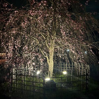 水無瀬叶夜さんのプロフィール画像