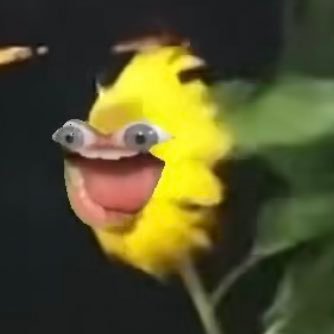 gabtronica's profile picture. Space Cowgirl 👽