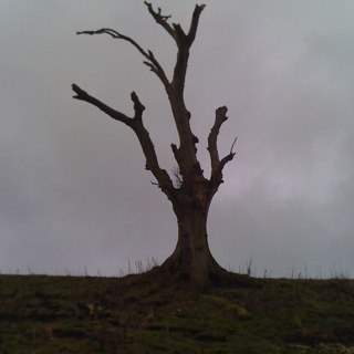 John_Moore9's profile picture. 