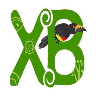 XocenBT's profile picture. Somos una empresa socialmente responsable y comprometidos con el cuidado y conservación de los recursos naturales y culturales, tangibles e intangibles.