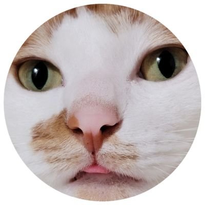 KIMARAさんのプロフィール画像