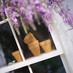 Just Potting About (@justpottingabou) Twitter profile photo