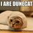iAreDunecat