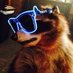 Raccoons Hourly (@raccoonhourly) Twitter profile photo