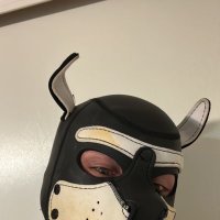 Bo (@puppy_beau) 's Twitter Profile