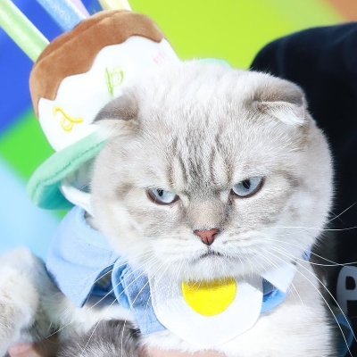 linsky1010's profile picture. 