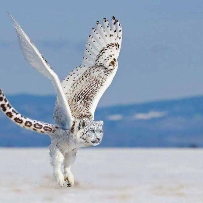 starwriter_12's profile picture. 