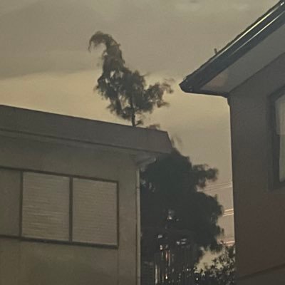 YORUKOTSI's profile picture. #COYS 生え抜き贔屓垢