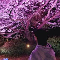 Naö (@ldh_jsb_ex_1023) 's Twitter Profile