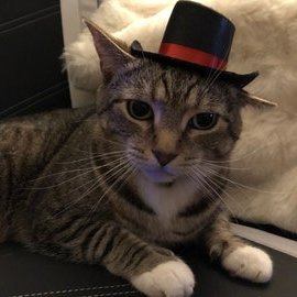 Just a man just living his life. Born in 1998.