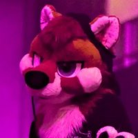 Stozi (@stowozi) 's Twitter Profile