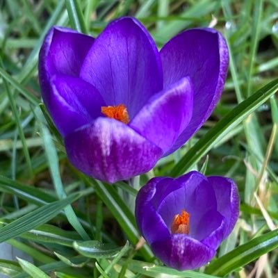 atrunkfield's profile picture. Health Analytics. Any and all thoughts are 100% my own.