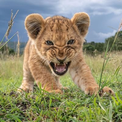 EmirateNasa's profile picture. life is short enjoy every movement