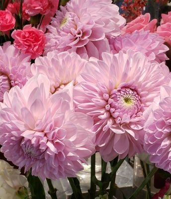 saito_miho49168's profile picture. 