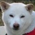 TAKASE (@noboru_takase) Twitter profile photo TAKASE (@noboru_takase) Twitter profile photo