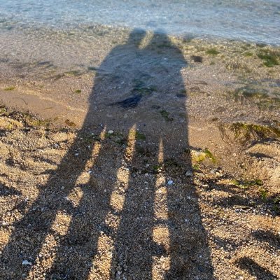 momo_1514's profile picture. 米津玄師さんの曲・言葉が好きです。 50代天然ボケ 基本穏やかな性格ですが、時には裏の顔が出ます😅 いろいろな曲を聴くのが好き。カメラ（撮る専）旅行 好きです。